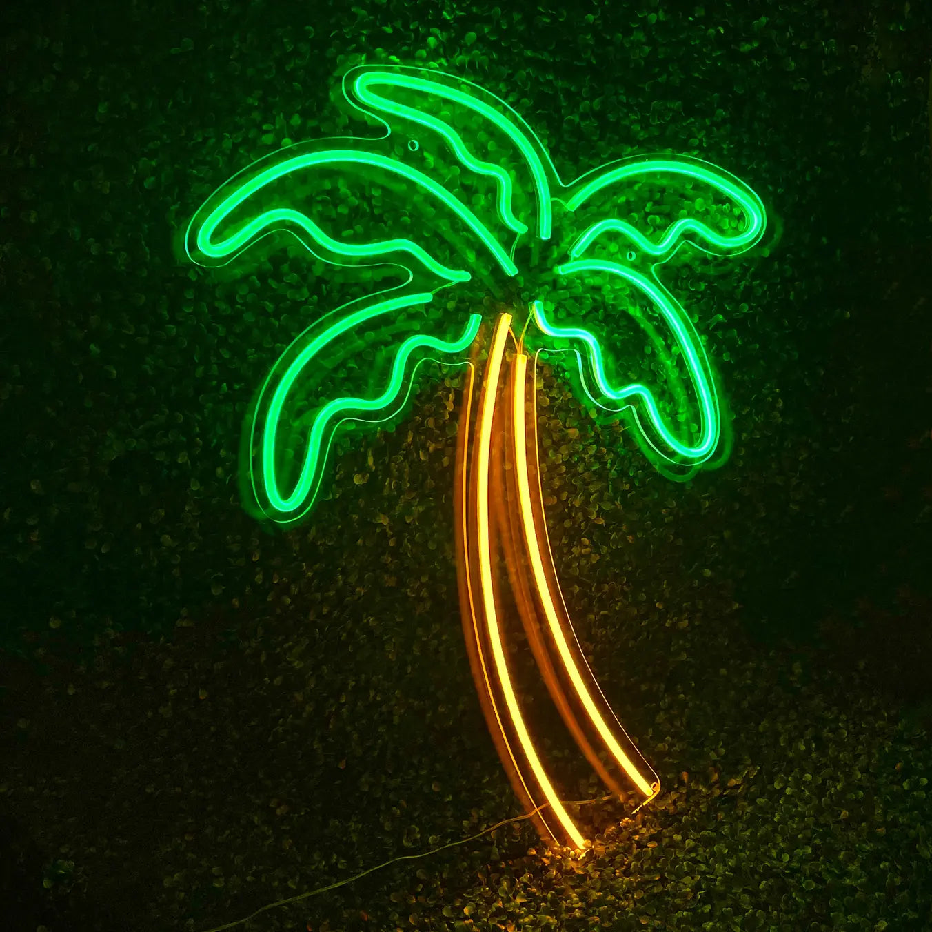 Néon pour Bar palmier