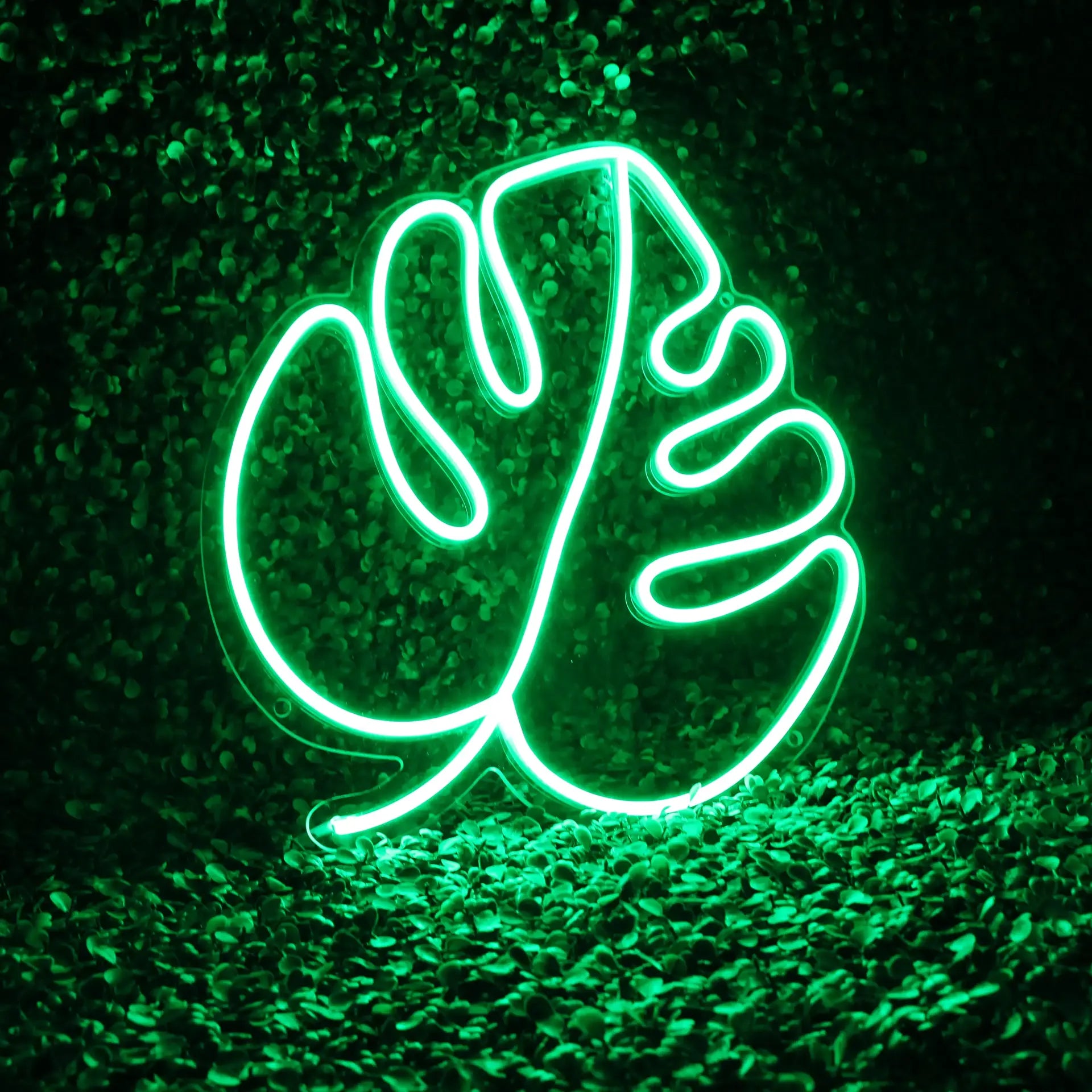 Néon nature feuille de monstera