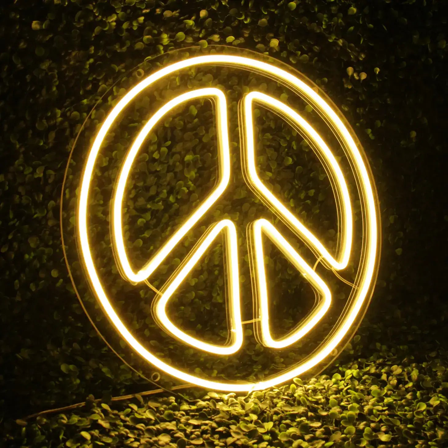 Néon Peace and Love Blanc chaud