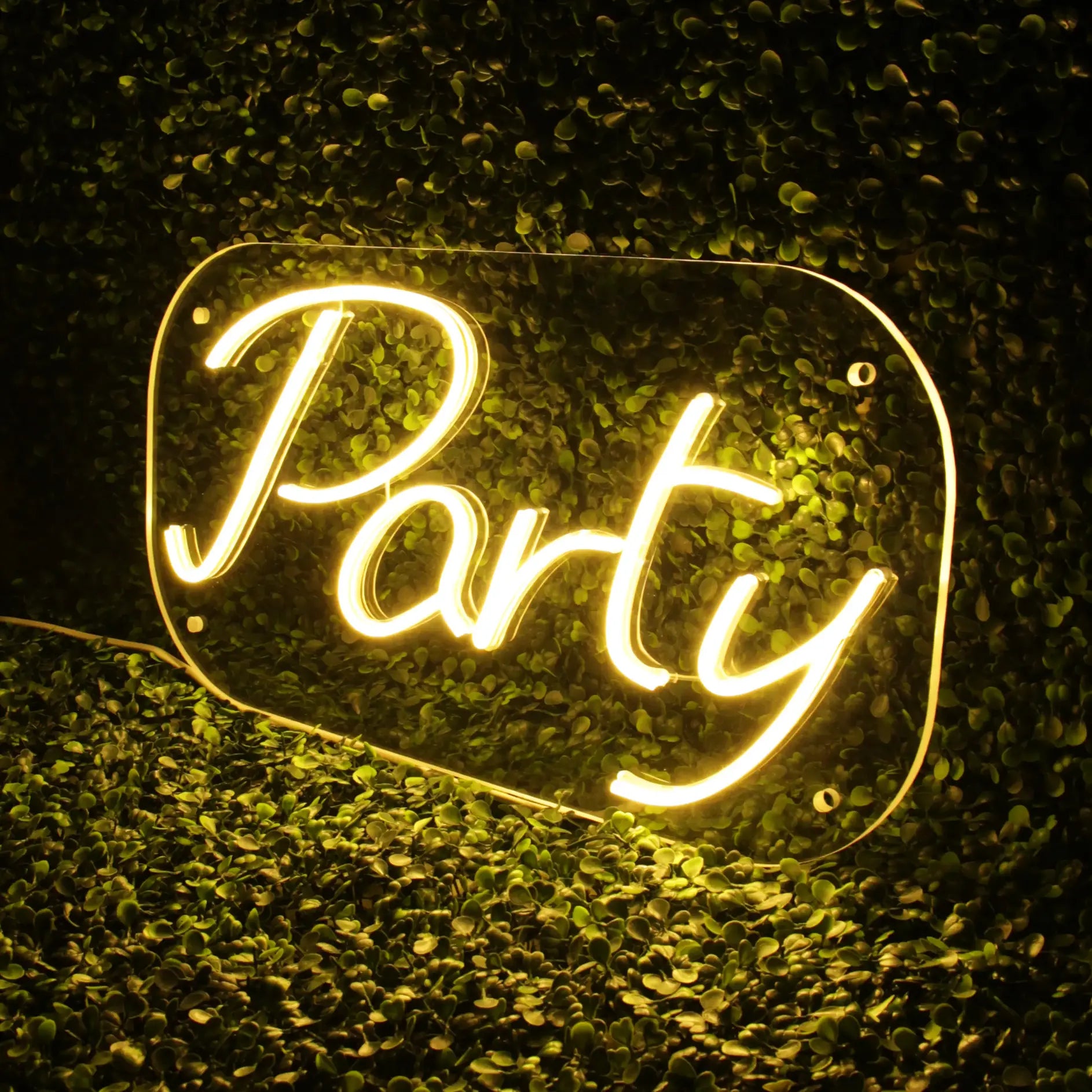 Néon Party Blanc Chaud sur le Côté