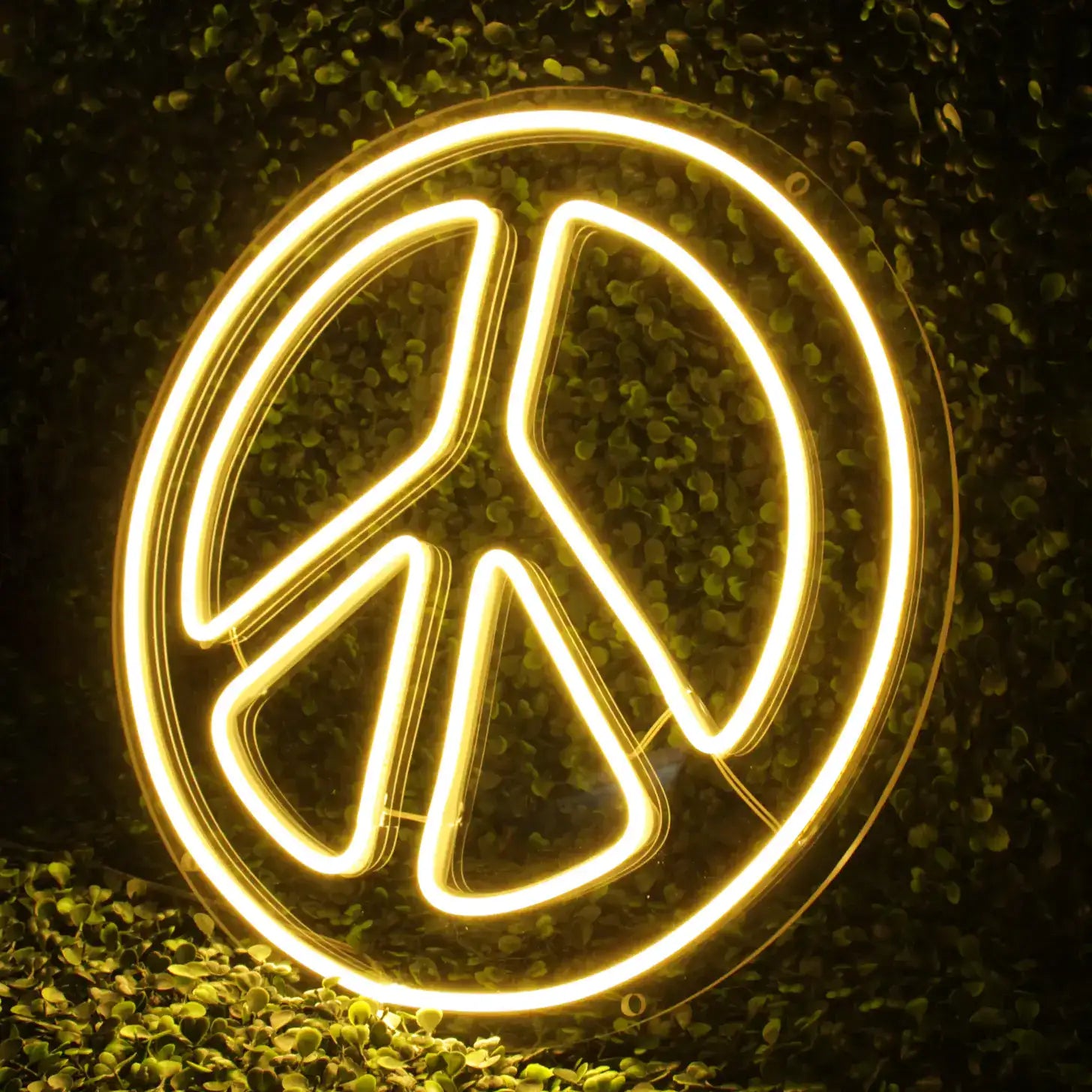 Néon Peace and Love LED