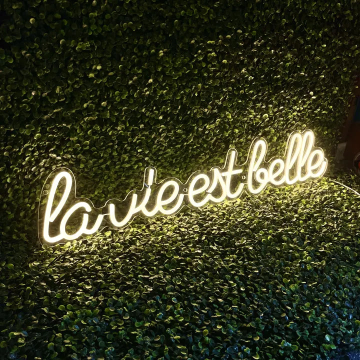 Néon La vie est belle blanc chaud vu de gauche