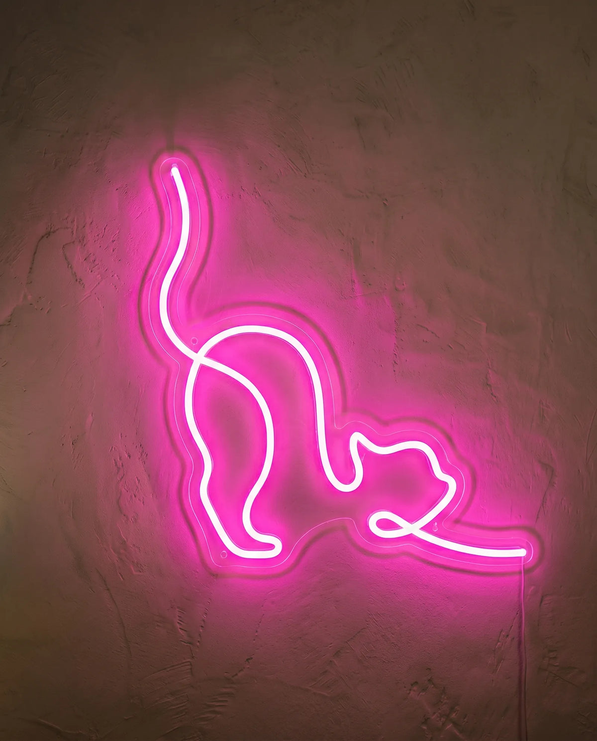 Néon chat de face sur mur peint, silhouette de chat qui s’étire dessinée d’un seul trait rose