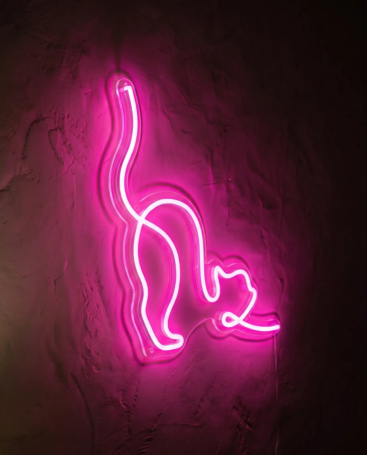 Néon LED chat vu de trois-quarts, bord du plexiglas cristallin visible