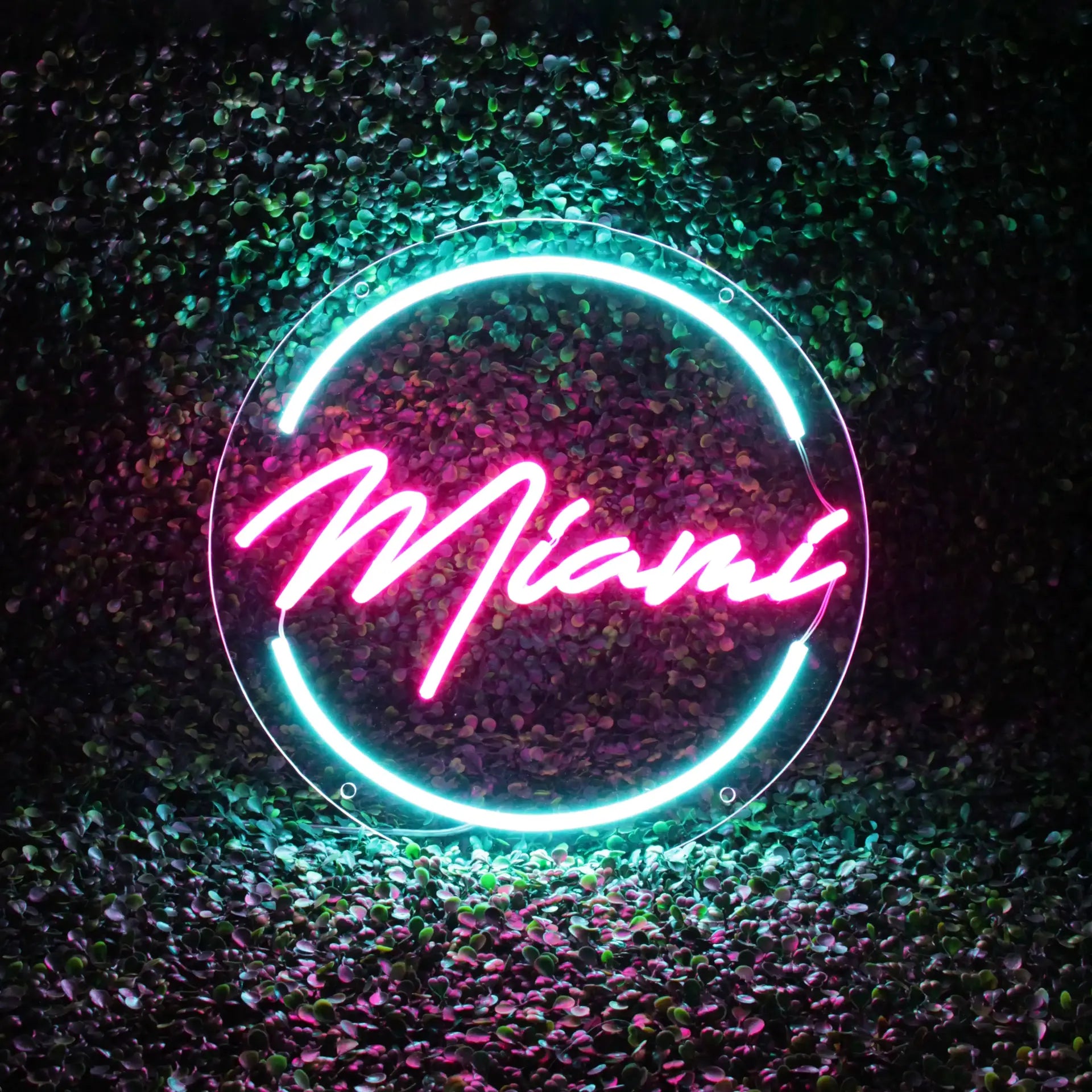 Néon Miami lumineux