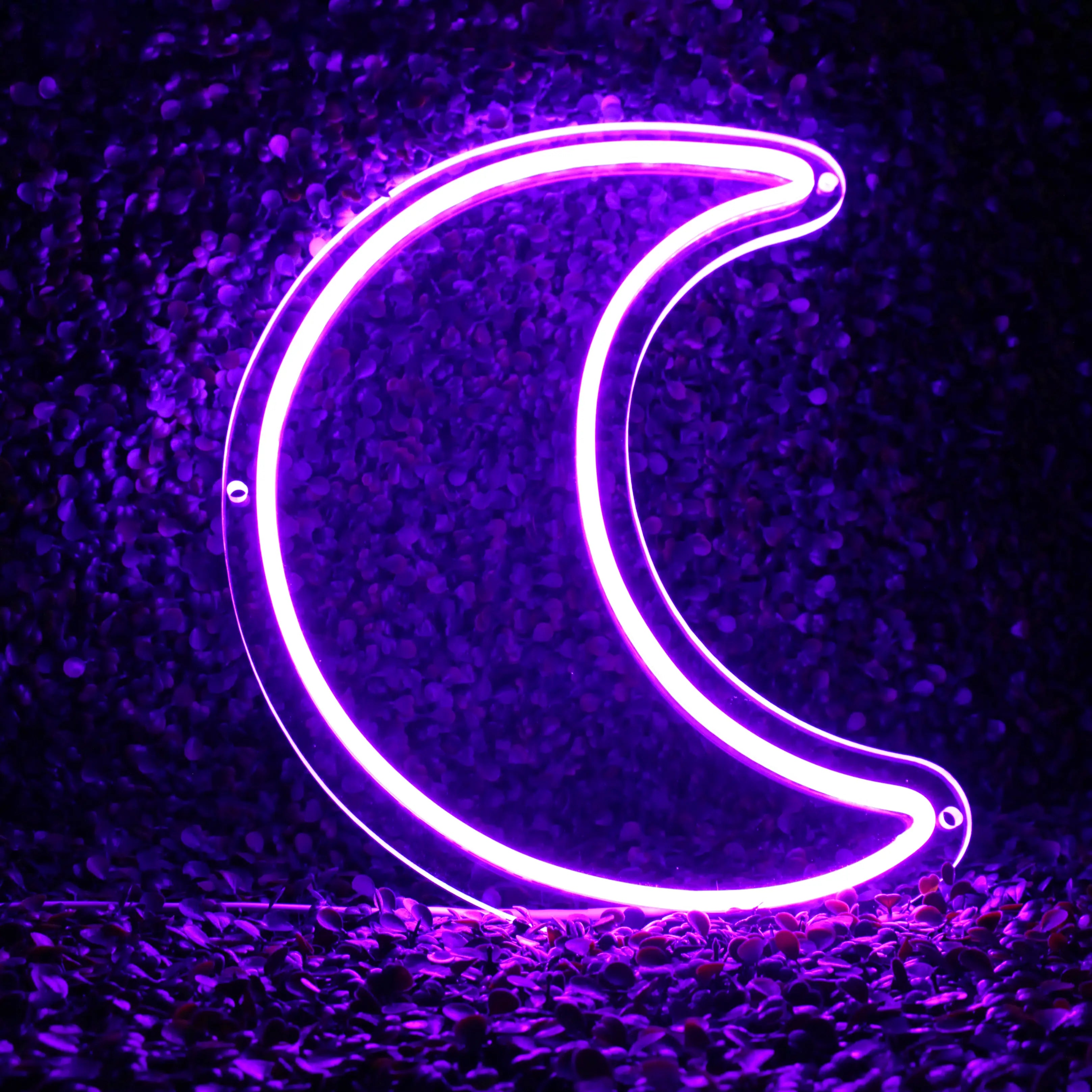 Néon Lune Violet