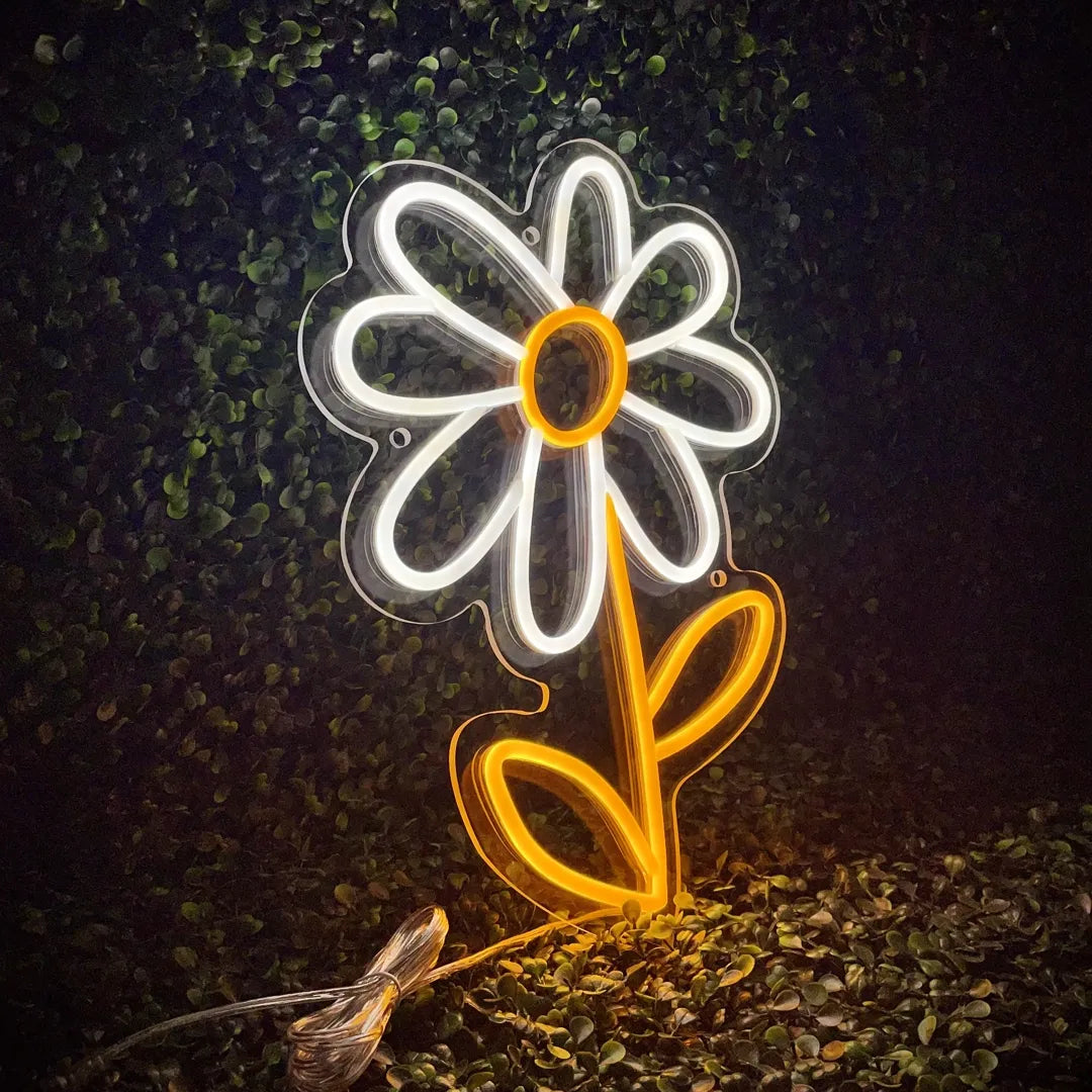 Néon marguerite de côte