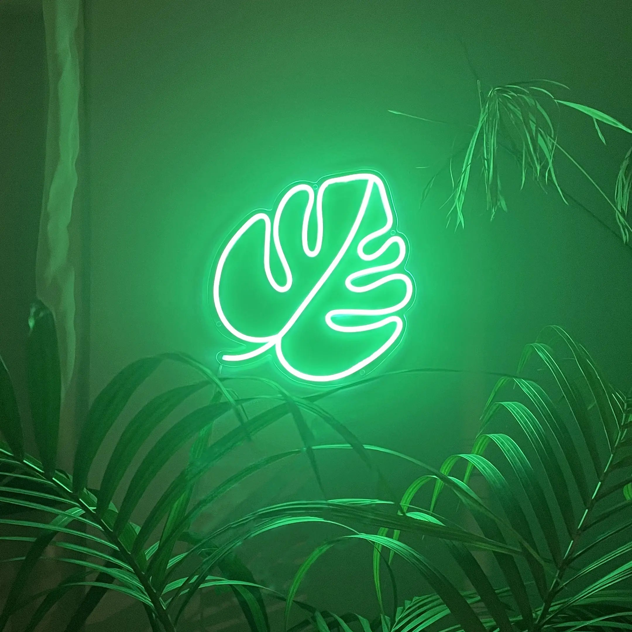 Néon Monstera dans un Salon