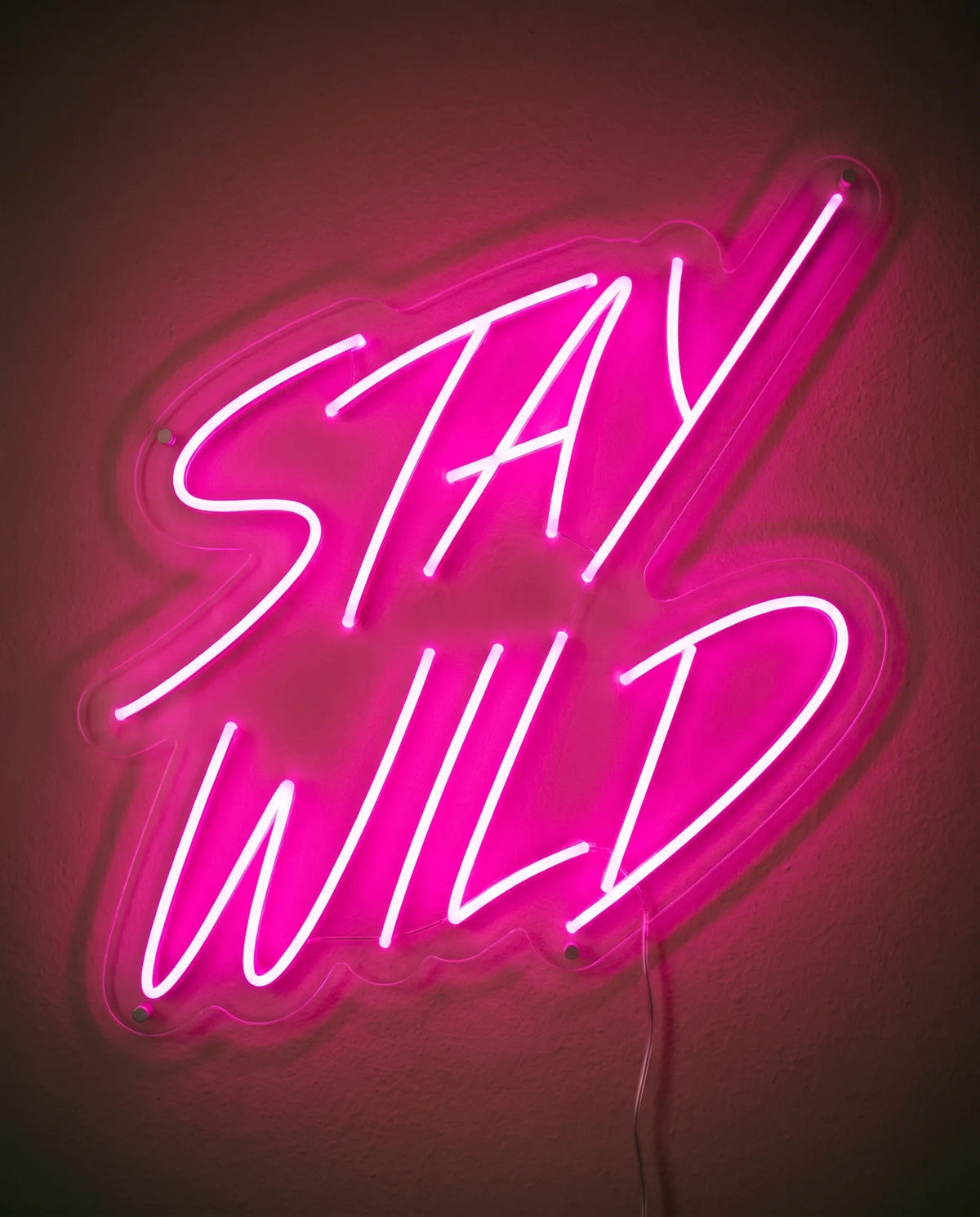 Néon Stay Wild de face sur mur peint, lettres roses tracées d’un trait rapide sur deux lignes