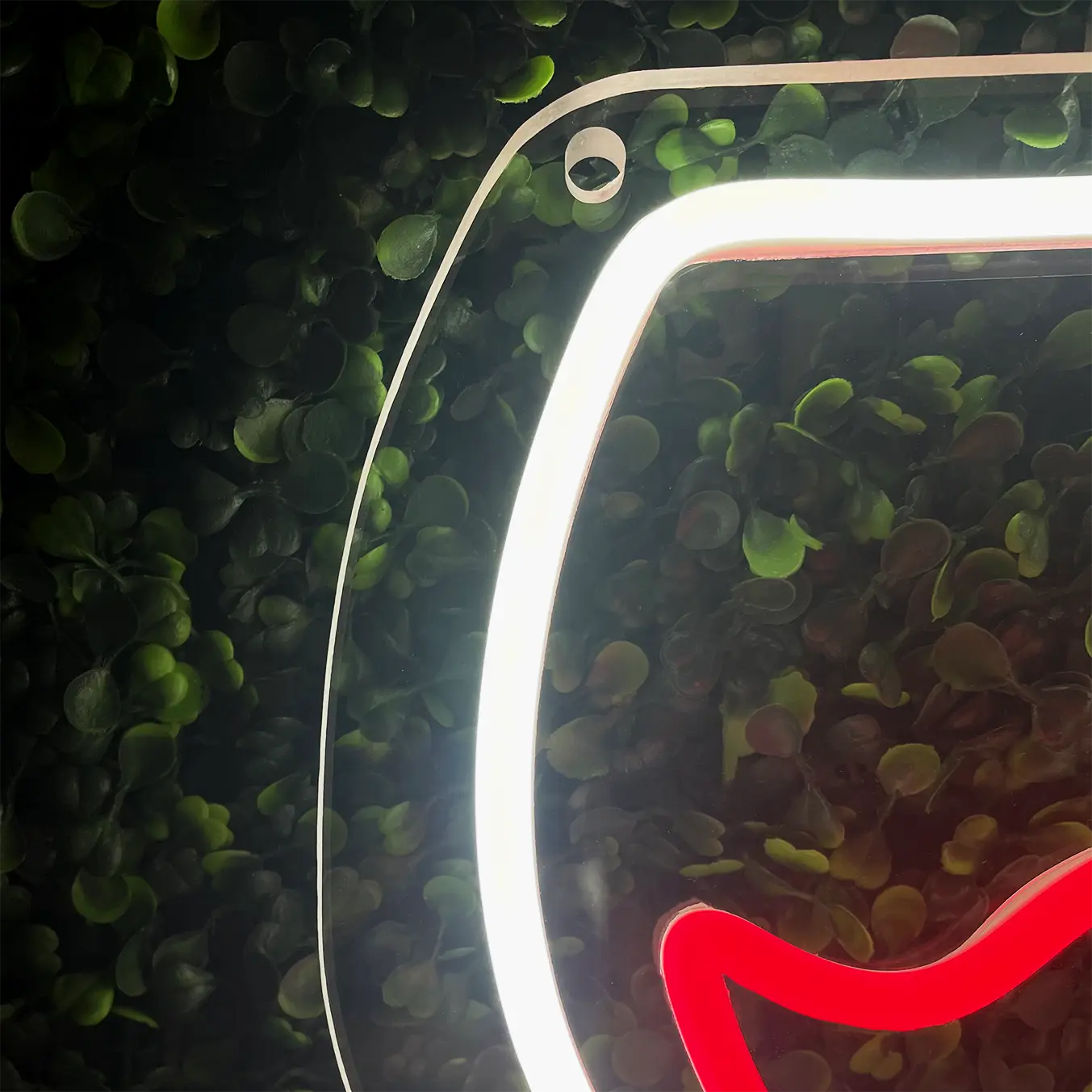 Néon Vin Rouge de près