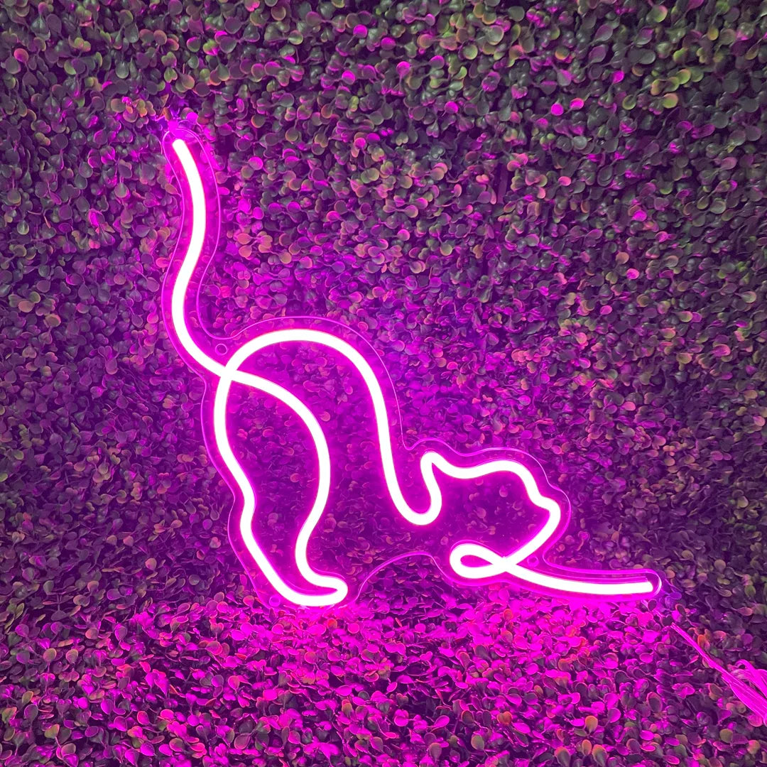 neon chat rose lumineux